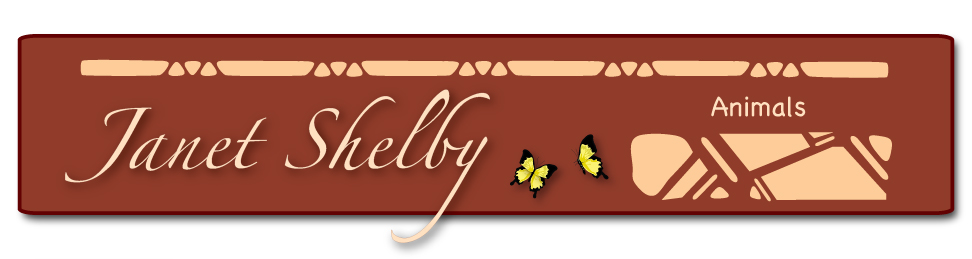 Animals Page Banner