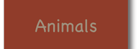 Animals button