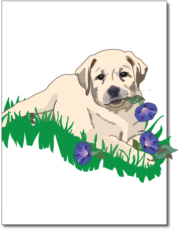 Lab Pup