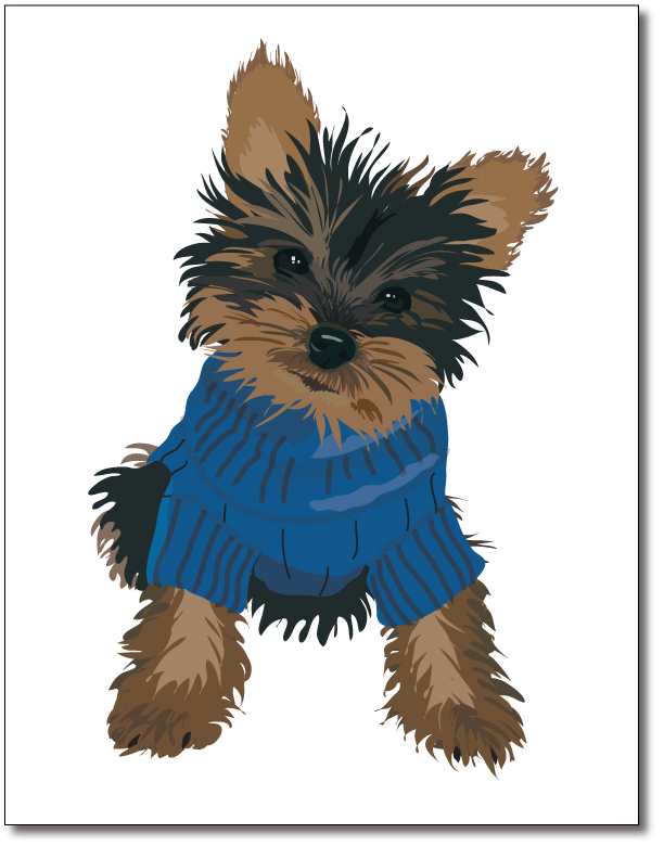 Yorkie Pup